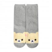 3900 �ڸ������� ����� �縻 [C2-069756]